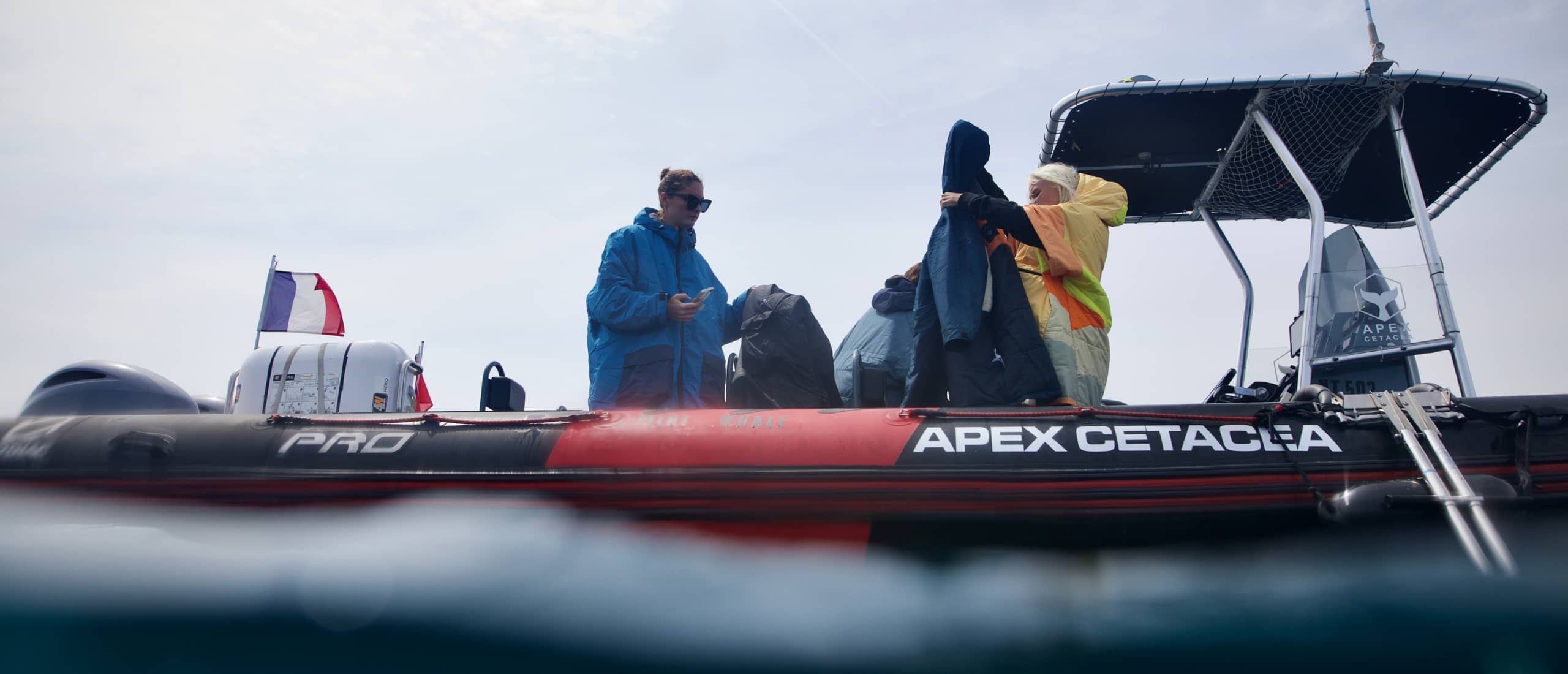 APEX CETACEA – Guardians of the Deep