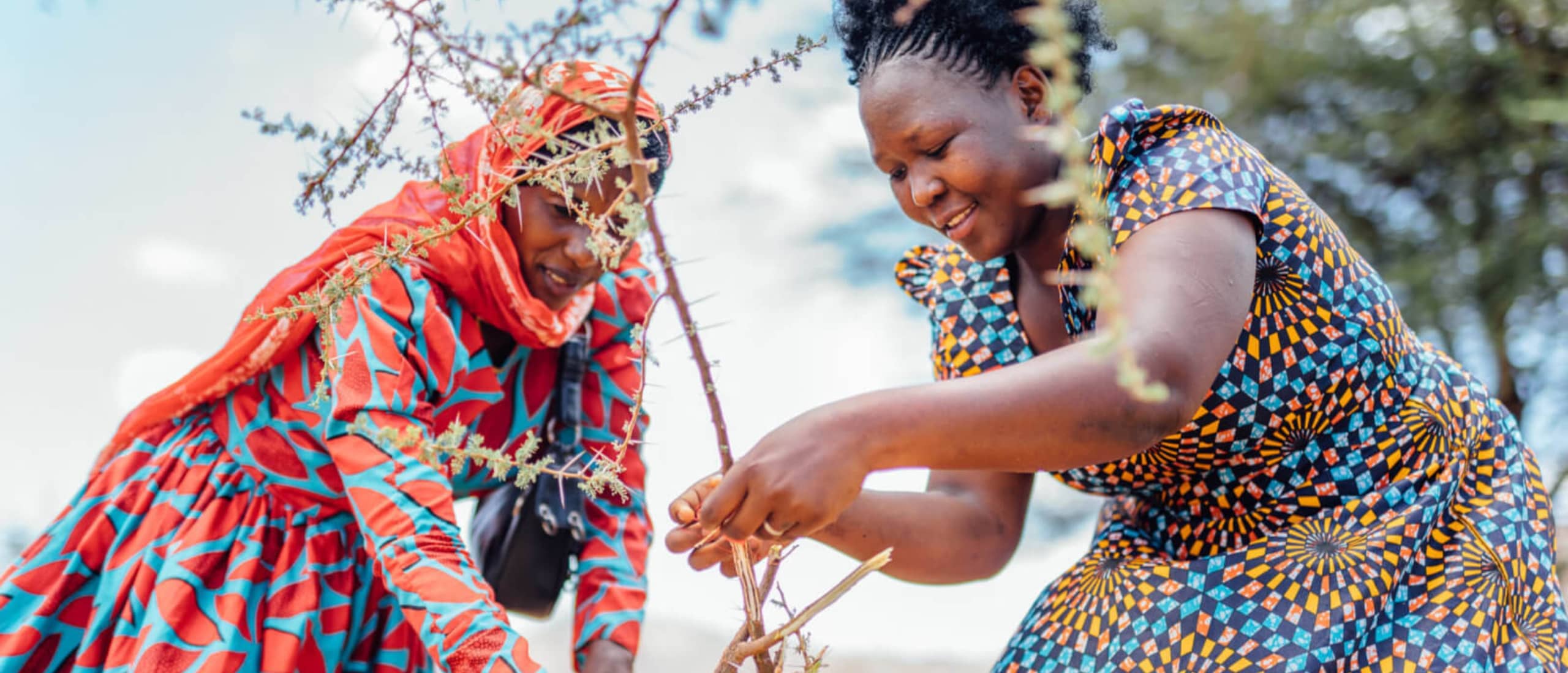 Justdiggit – Regreening to Refresh the World