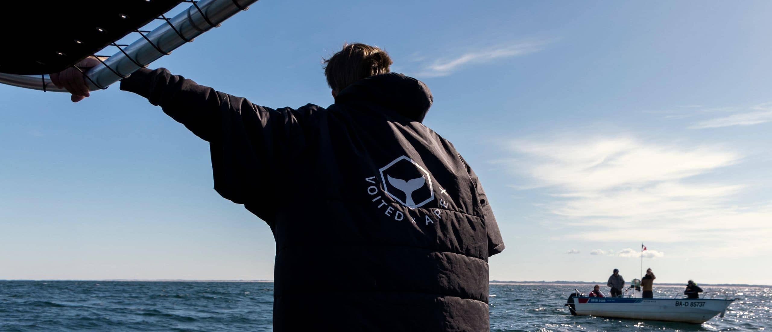 Celebrating VOITED's Collaboration with APEX CETACEA