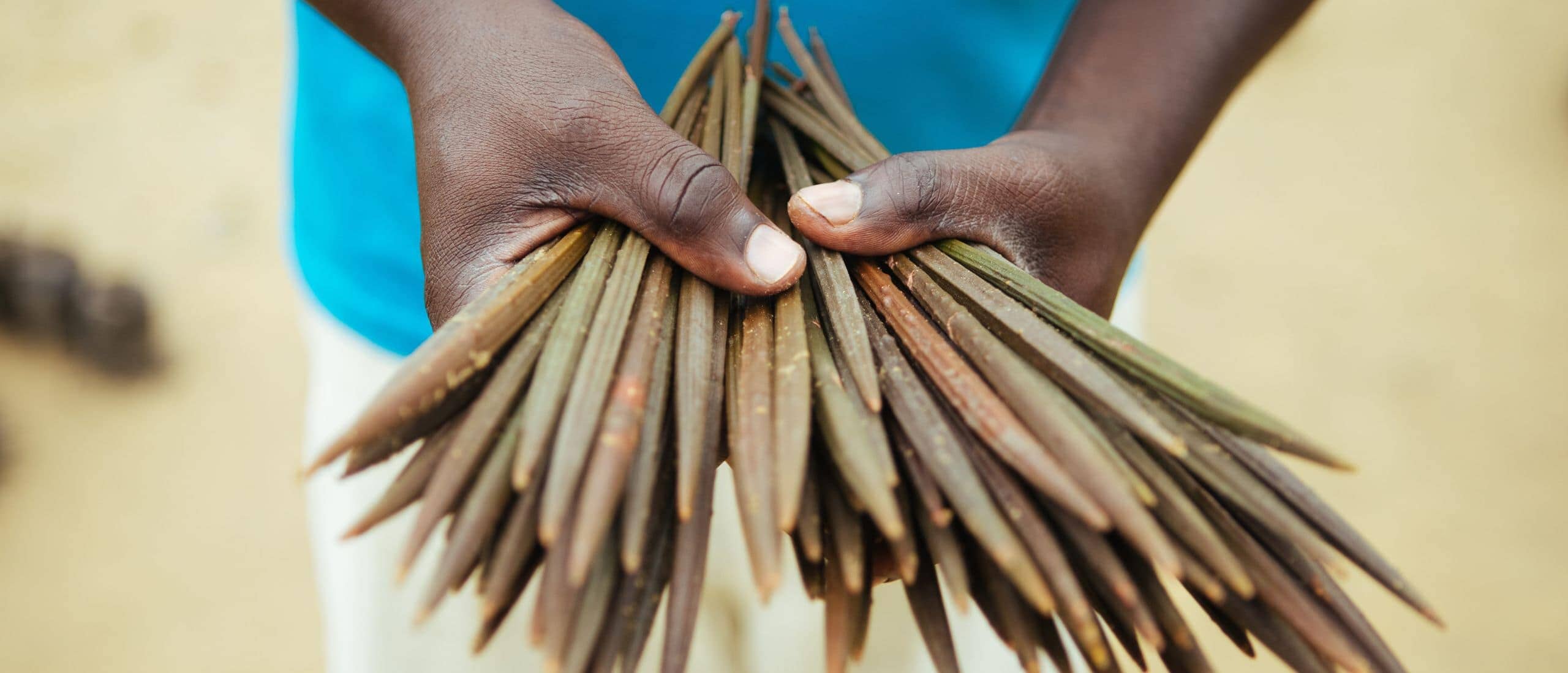 Greenspark - New Tree Planting Project