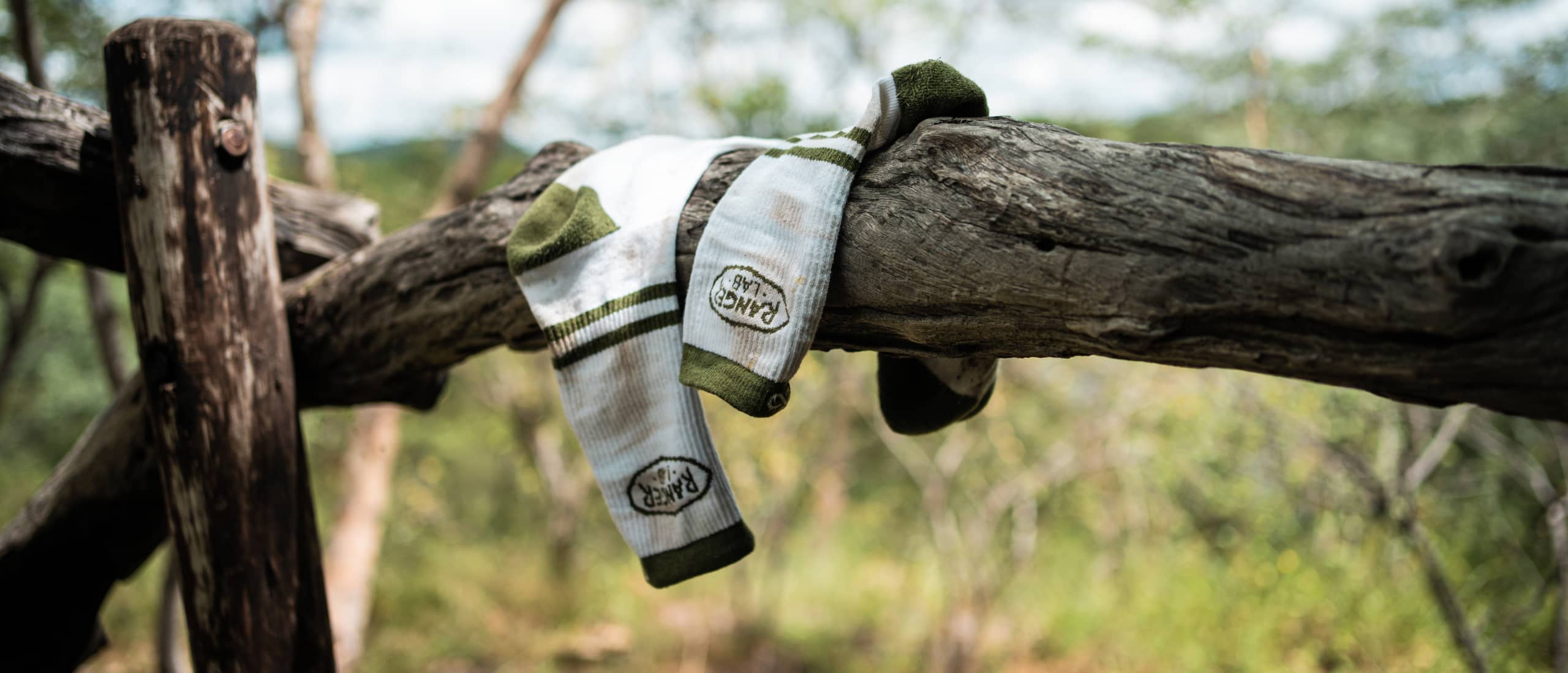 RangerLab – Guardians of Our Natural World