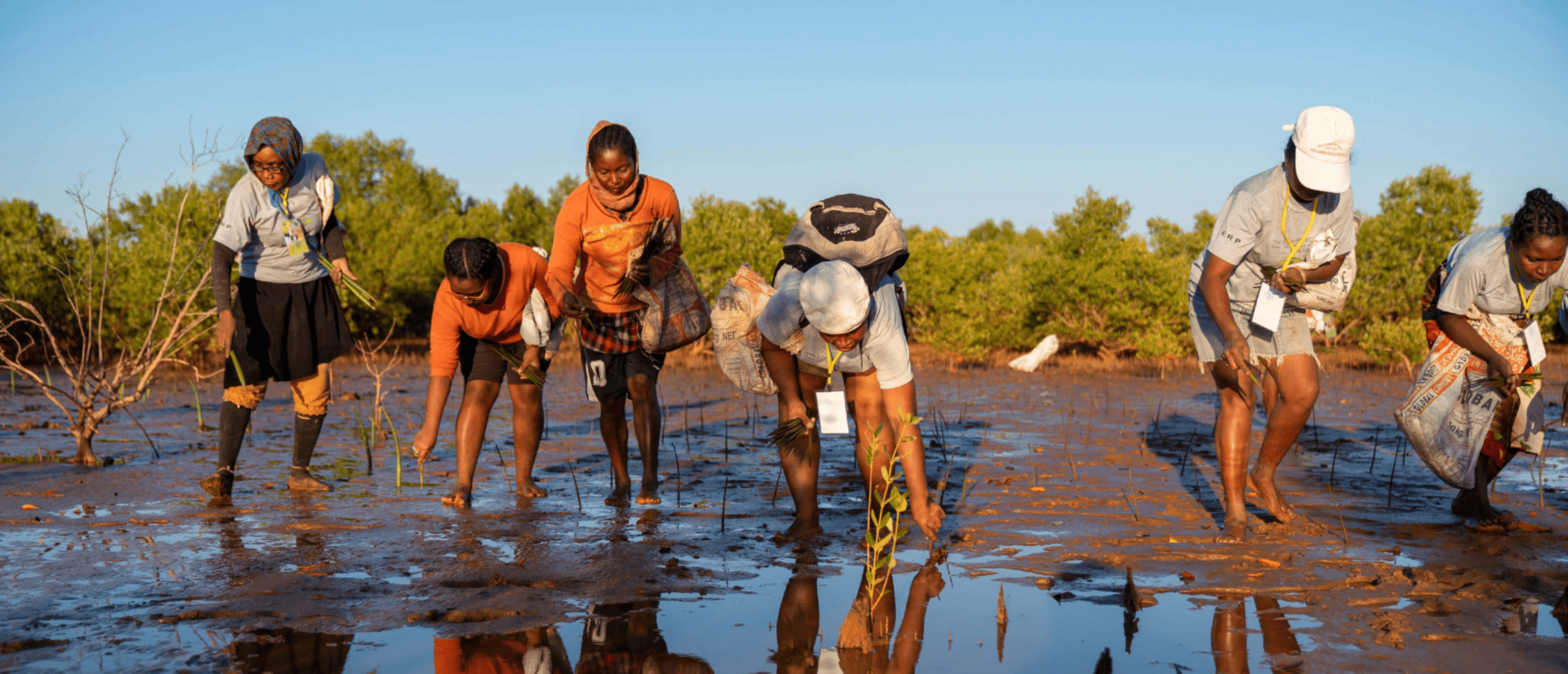 VOITED Partners with Greenspark for a Greener Tomorrow